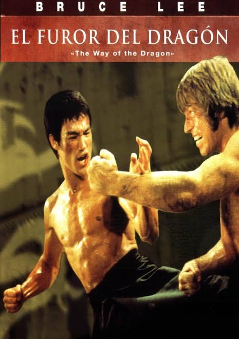 EL FUROR DEL DRAGON